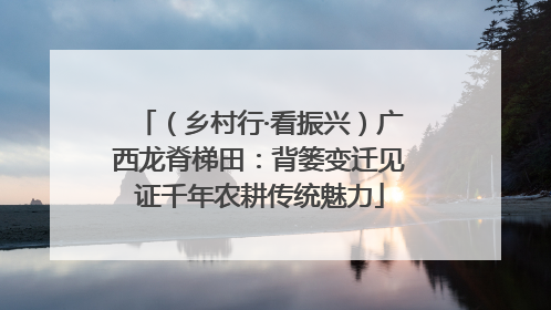 （乡村行·看振兴）广西龙脊梯田：背篓变迁见证千年农耕传统魅力