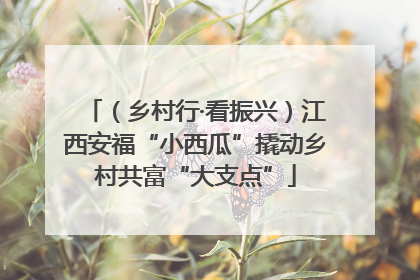 （乡村行·看振兴）江西安福“小西瓜”撬动乡村共富“大支点”