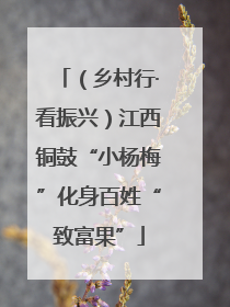 （乡村行·看振兴）江西铜鼓“小杨梅”化身百姓“致富果”