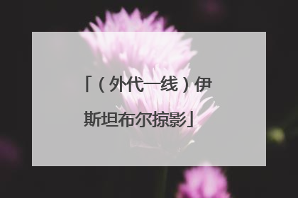 （外代一线）伊斯坦布尔掠影