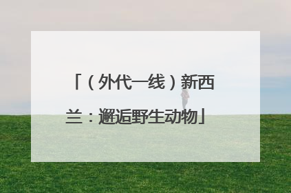 （外代一线）新西兰：邂逅野生动物