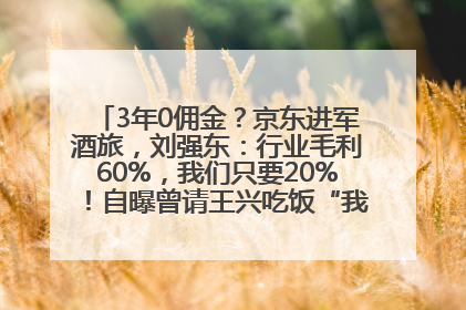 3年0佣金？京东进军酒旅，刘强东：行业毛利60%，我们只要20%！自曝曾请王兴吃饭“我要做外卖了”