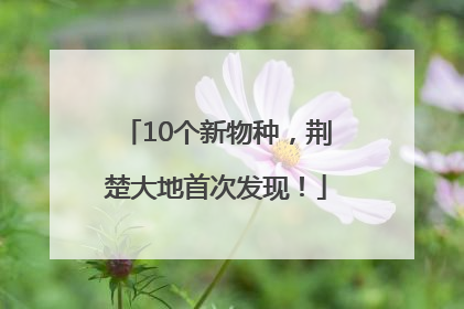 10个新物种，荆楚大地首次发现！