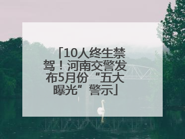 10人终生禁驾！河南交警发布5月份“五大曝光”警示