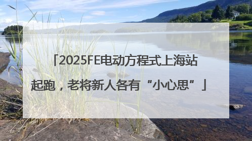 2025FE电动方程式上海站起跑，老将新人各有“小心思”