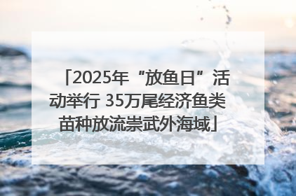 2025年“放鱼日”活动举行 35万尾经济鱼类苗种放流崇武外海域