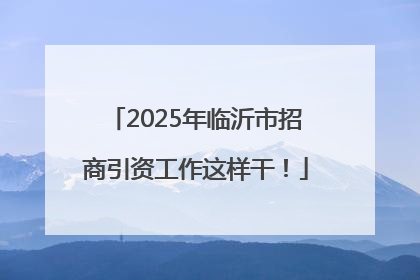 2025年临沂市招商引资工作这样干！
