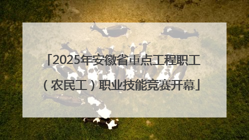 2025年安徽省重点工程职工（农民工）职业技能竞赛开幕