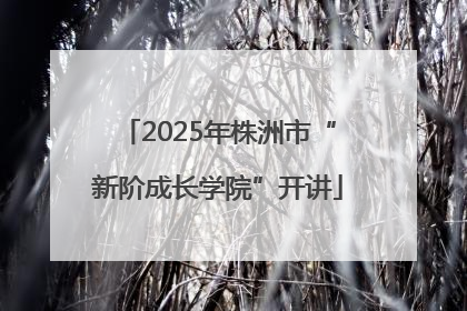 2025年株洲市“新阶成长学院”开讲