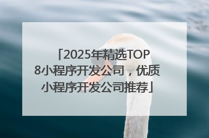 2025年精选TOP8小程序开发公司，优质小程序开发公司推荐
