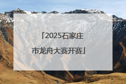 2025石家庄市龙舟大赛开赛