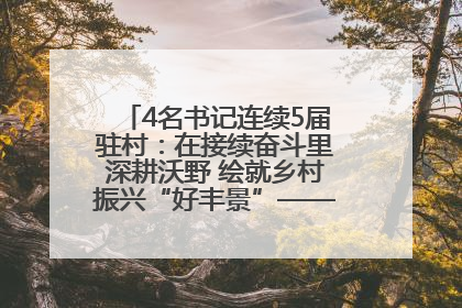 4名书记连续5届驻村：在接续奋斗里深耕沃野 绘就乡村振兴“好丰景”——浦发银行南京分行助力脱贫攻坚、帮促乡村振兴记事（二）