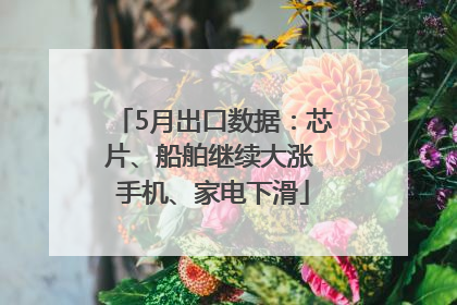 5月出口数据：芯片、船舶继续大涨 手机、家电下滑