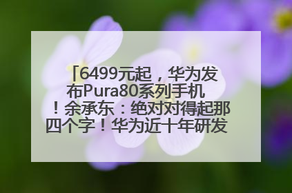 6499元起，华为发布Pura80系列手机！余承东：绝对对得起那四个字！华为近十年研发投入12490亿元