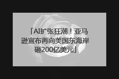AI扩张狂潮！亚马逊宣布再向美国东海岸砸200亿美元