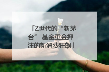 Z世代的“新茅台” 基金重金押注的新消费狂飙